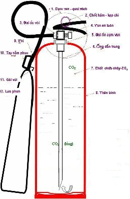 Cấu tạo chungng